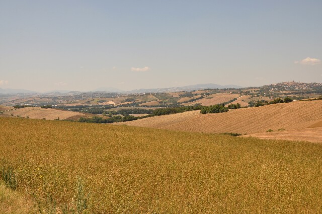 min 2009 08 18 ostra 118